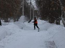 img_0611_h.jpg