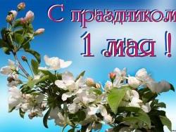 b2623c5bbfc0db07ab99e03d02366986_h.jpg